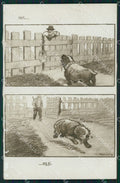 WW1 WWI Propaganda Anti Austria ABRADED RPPC cartolina postcard XF7943 – fronte