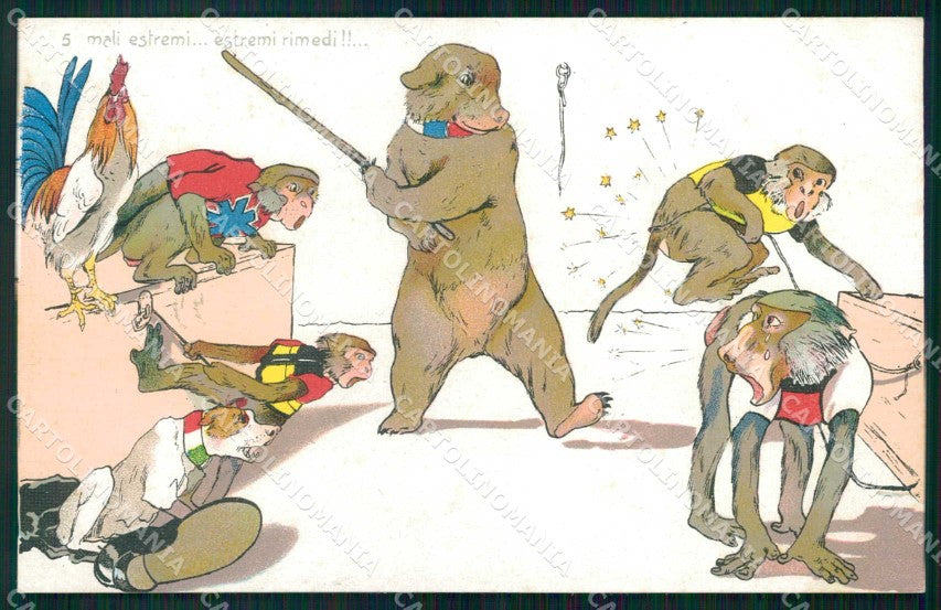 WWI WW1 Italian Propaganda Humor Monkey Bear Norfini cartolina XF9011 – fronte