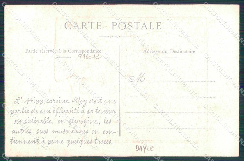 Reali Royalty Caricatura Edouard VII United Kingdom Dayle cartolina XF9240 – retro