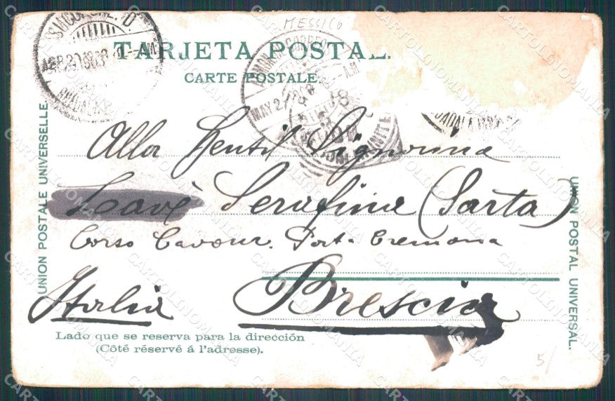 Mexico City Arbol de la Noche Triste ABRADED BACK postcard XP0108 – retro
