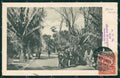 Mexico Alameda postcard XP0256 – fronte