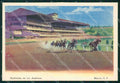Mexico City Hipodromo de las Americas postcard XP0290 – fronte