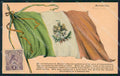 Mexico Mexican Flag postcard XP0325 – fronte