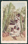 Mexico Ethnic Types Indigenas TEAR postcard XP0332 – fronte