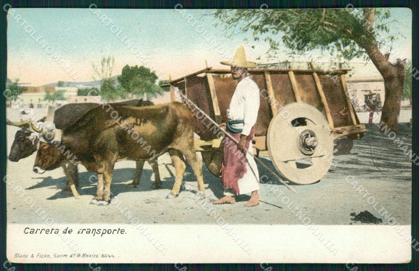Mexico Types Ethnic Carreta de Transporte postcard XP0364 – fronte