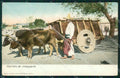 Mexico Types Ethnic Carreta de Transporte postcard XP0364 – fronte