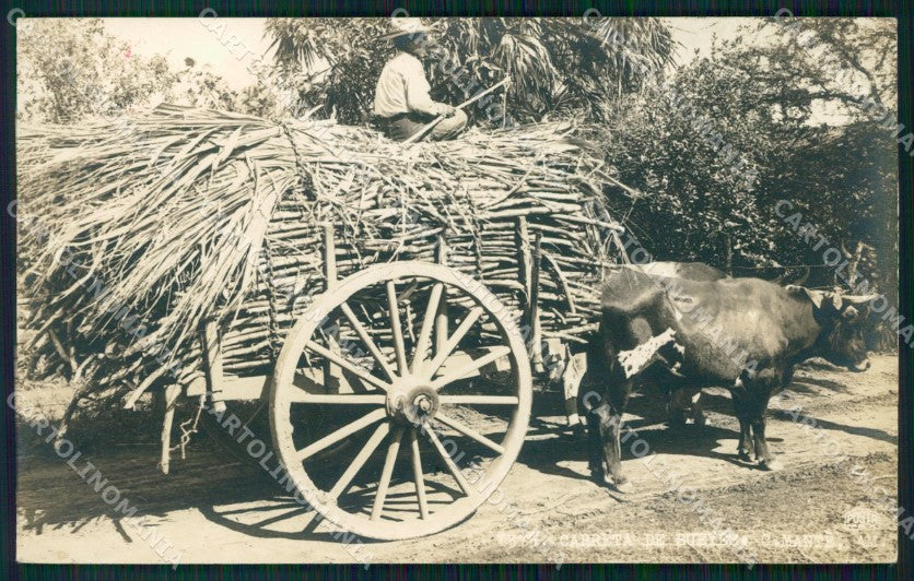 Mexico Types Ethnic Carreta de Bueyes RPPC postcard XP0365 – fronte
