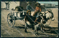 Mexico Types Ethnic Mexican Water Works CORNER CREASED postcard XP0366 – fronte