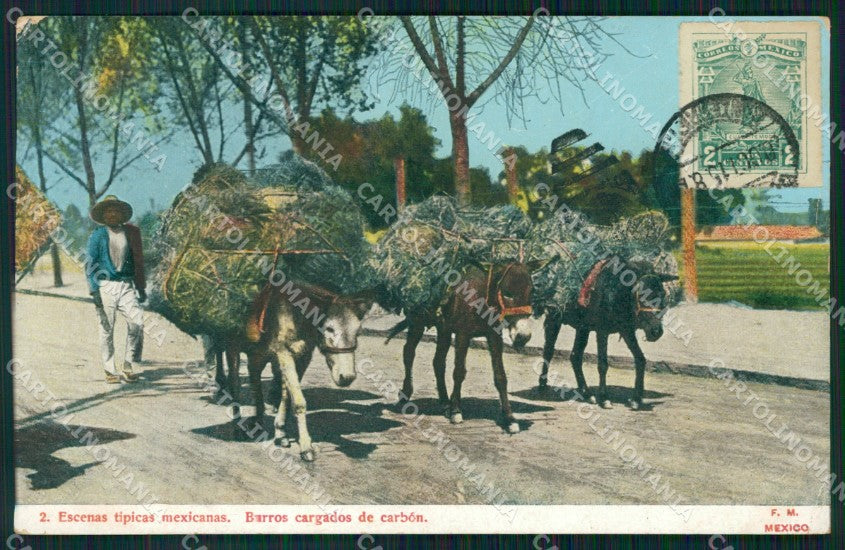 Mexico Types Ethnic Burros Cargados de Carbon postcard XP0404 – fronte