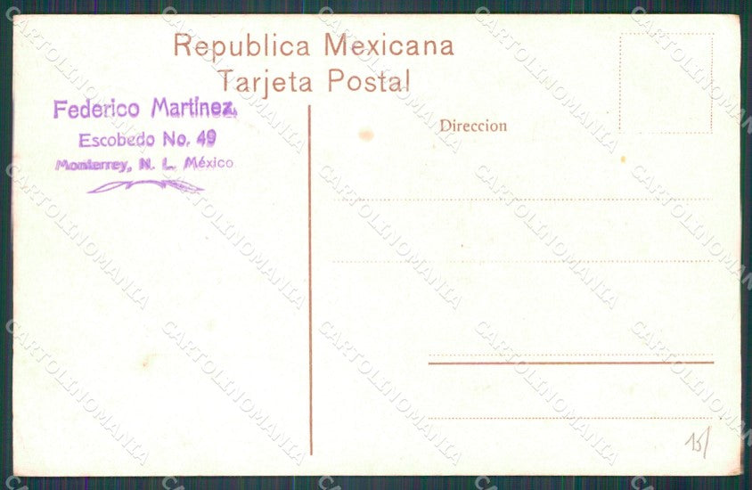 Mexico Types Ethnic Burros Cargados de Carbon postcard XP0404 – retro