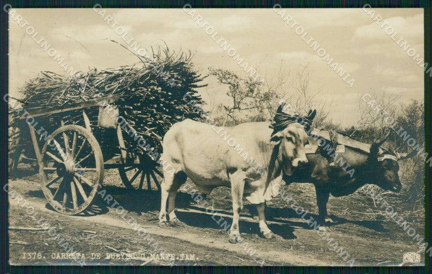 Mexico Types Ethnic Carreta de Bueyes RPPC postcard XP0426 – fronte