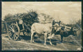 Mexico Types Ethnic Carreta de Bueyes RPPC postcard XP0426 – fronte