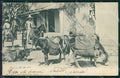 Mexico Types Ethnic Arrieros Cargando Pulque postcard XP0428 – fronte