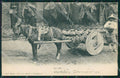 Mexico Types Ethnic Aguador postcard XP0445 – fronte