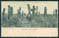 Argentina Types Ethnic Cementerio de Indios Patagones postcard XP0563 – fronte