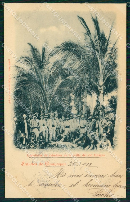 Ecuador Guayaquil Cavadores de Caimanes Rio Guayas ABRADED BACK postcard XP0653 – fronte