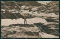 Argentina Sierras de Cordoba Mina Clavero postcard XP0791 – fronte
