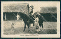 Argentina Types Ethnic Caicho Tomando Mate Dog Galgo RPPC postcard XP0796 – fronte