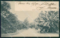 Argentina Buenos Aires Palermo Parque 3 de Febrero postcard XP0828 – fronte