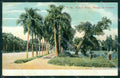 Argentina Buenos Aires Parque Palermo postcard XP0837 – fronte