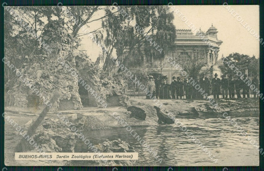 Argentina Buenos Aires Jardin Zoologico Elefantes Marinos postcard XP0838 – fronte