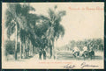 Argentina Buenos Aires Avenida de las Plmas TRIMMED postcard XP0931 – fronte