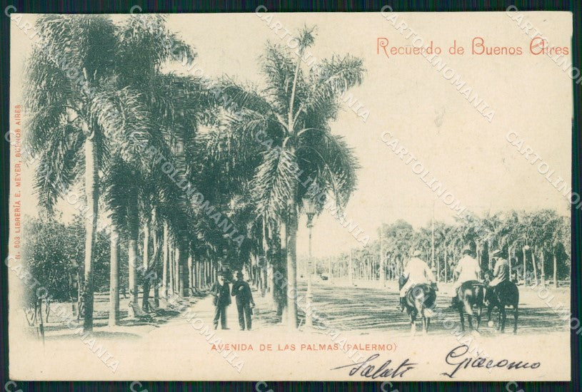 Argentina Buenos Aires Avenida de las Plmas TRIMMED postcard XP0931 – fronte