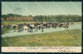 Argentina Vista Campestre CREASES postcard XP1102 – fronte