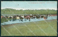 Argentina Buenos Aires ? Vista Campestre postcard XP1123 – fronte