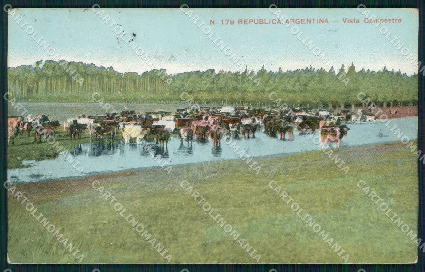 Argentina Buenos Aires ? Vista Campestre postcard XP1123 – fronte