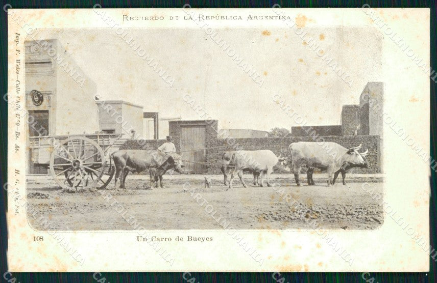 Argentina Types Ethnic Un Carro de Bueyes postcard XP1192 – fronte