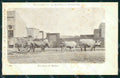 Argentina Types Ethnic Un Carro de Bueyes postcard XP1192 – fronte