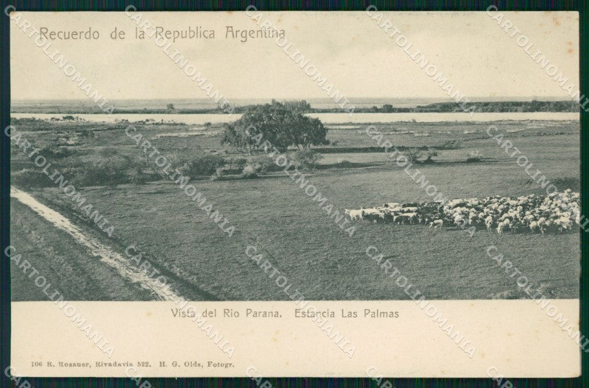 Argentina Las Palmas Rio Parana postcard XP1201 – fronte