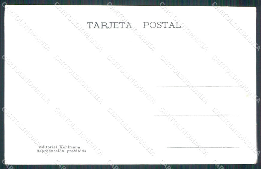 Argentina Rosario TEARED postcard XP1302 – retro