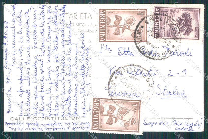 Argentina Rio Cuarto Calle Constitucion RPPC postcard XP1316 – retro
