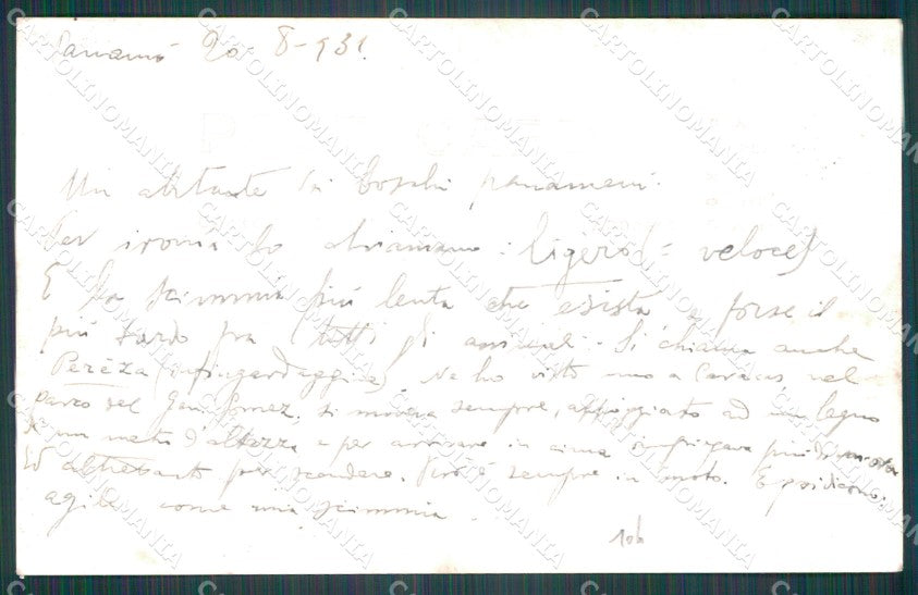 Panama Bradypus Perezosos de tres dedos RPPC postcard XP1414 – retro