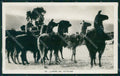 Peru Llamas del Altiplano RPPC postcard XP1517 – fronte