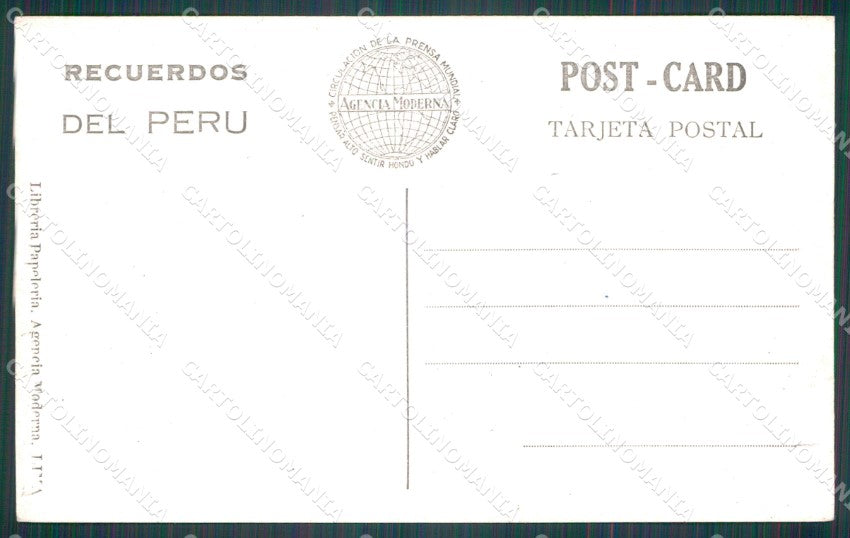Peru Llamas del Altiplano RPPC postcard XP1517 – retro