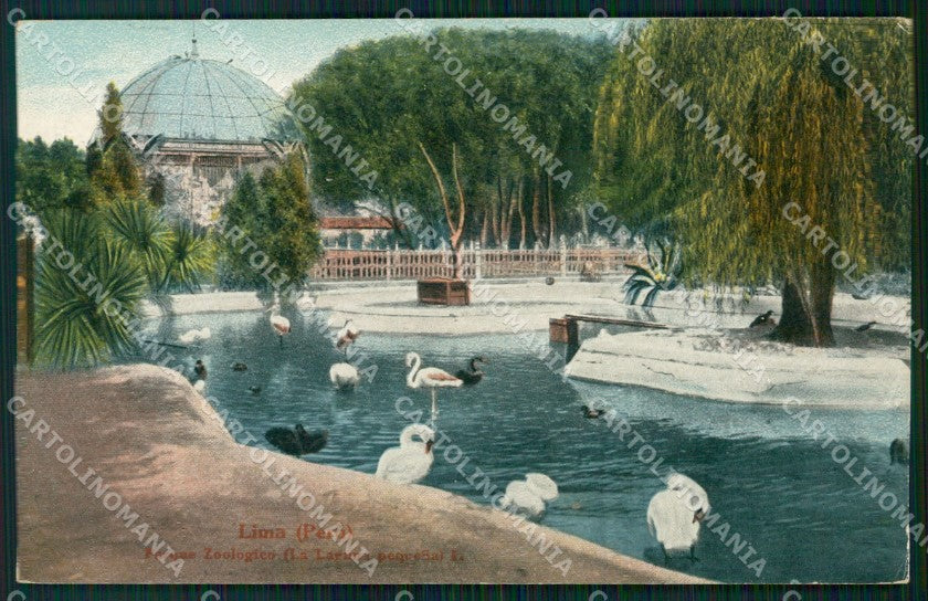 Peru Lima Parque Zoologico postcard XP1575 – fronte