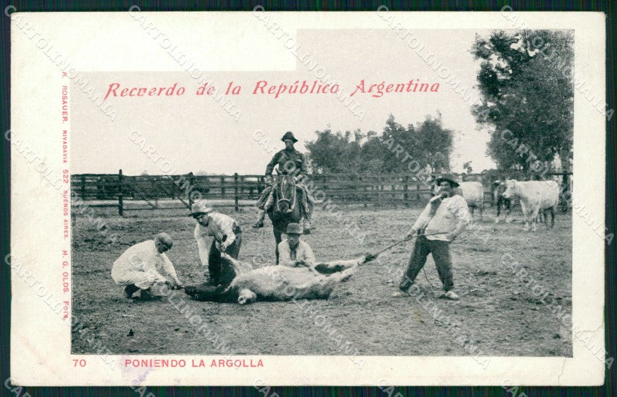 Argentina Types Ethnic Poniendo la Argolla ABRADED BACK postcard XP1594 – fronte
