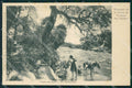 Argentina Sierra de Cordoba Capilla del Monte Rio Kalabalumba postcard XP1600 – fronte