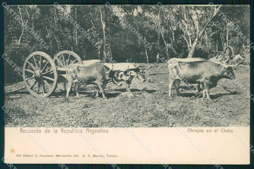 Argentina Types Ethnic Obrajes en el Chaco postcard XP1601 – fronte