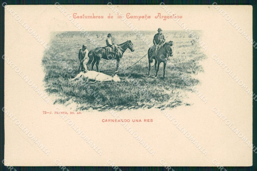 Argentina Types Ethnic Carneando una Res postcard XP1609 – fronte