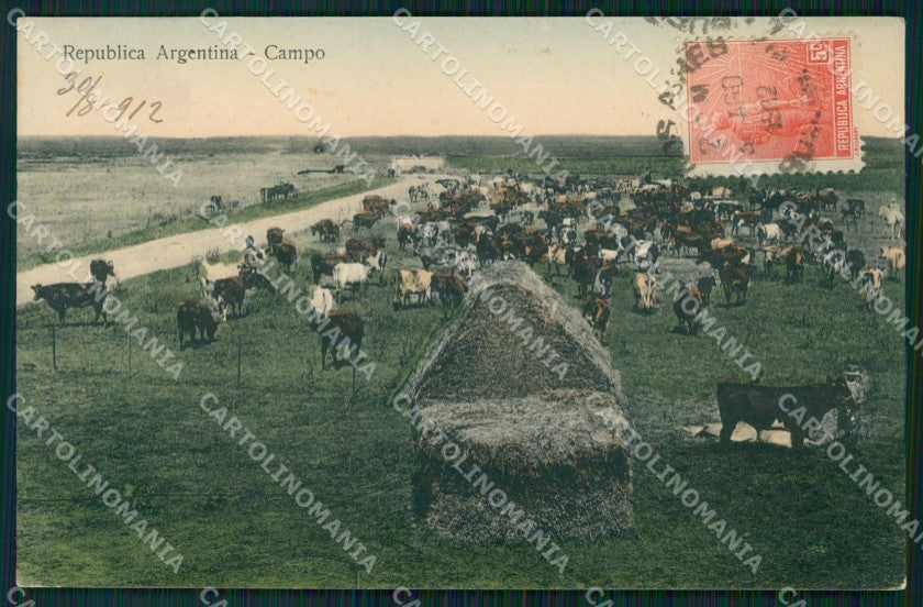 Argentina Types Ethnic Campo postcard XP1617 – fronte