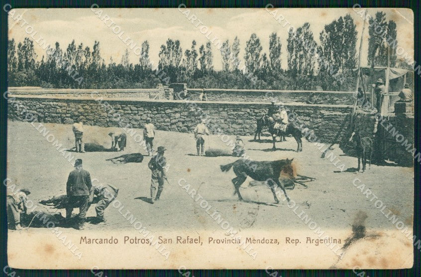 Argentina San Rafael Mendoza Mercando Potros CORNER CREASED postcard XP1627 – fronte