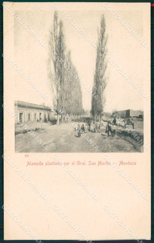 Argentina Mendoza Alameda Plantada por el General San Martin postcard XP1632 – fronte