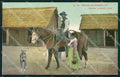 Argentina Types Ethnic Gaucho Tomando Mate Dog Galgo postcard XP1644 – fronte