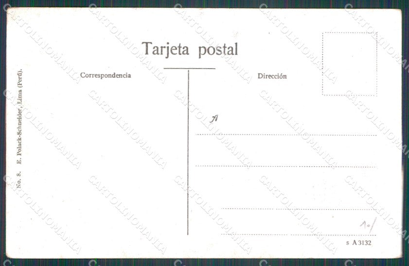 Peru Lima Parque Zoologico Juala de Camellos postcard XP1694 – retro