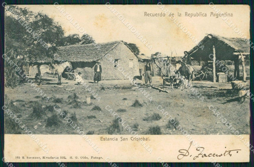 Argentina San Cristobal Estancia Dog Galgo postcard XP1790 – fronte