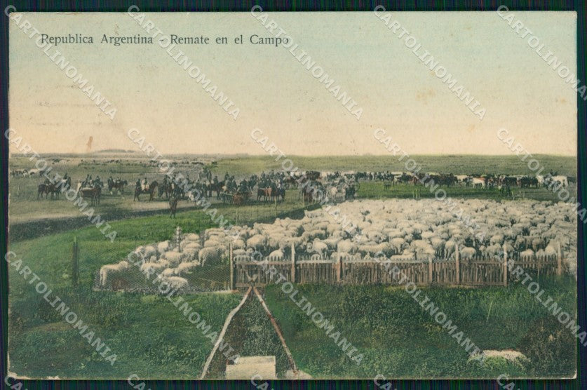 Argentina Types Ethnic Remate en al Campo postcard XP1793 – fronte